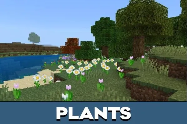 Plants from Newb x Unwind Texture Pack for Minecraft PE