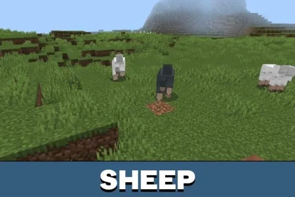 Sheep from ESP Texture Pack for Minecraft PE