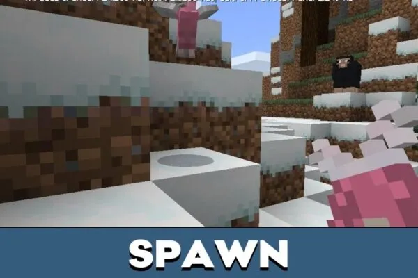 Spawn from Parrot Mod for Minecraft PE