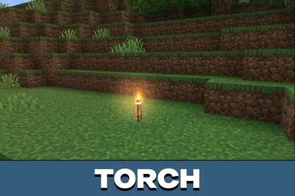 Torch from Newb X Down Texture Pack for Minecraft PE