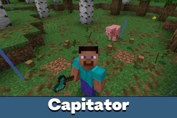 Axe from Treecapitator Cheat Mod for Minecraft PE