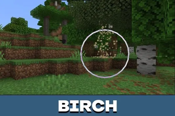 Birch from Falling Tree Mod for Minecraft PE