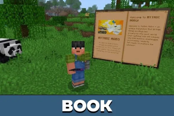 Book from Mythic Mobs Mod for Minecraft PE