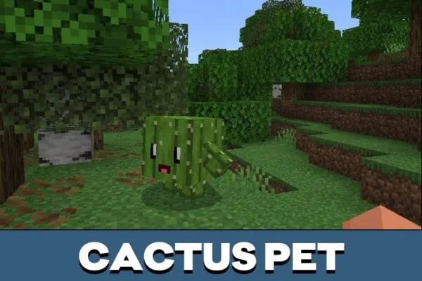 Cactus Block Pets Mod for Minecraft PE