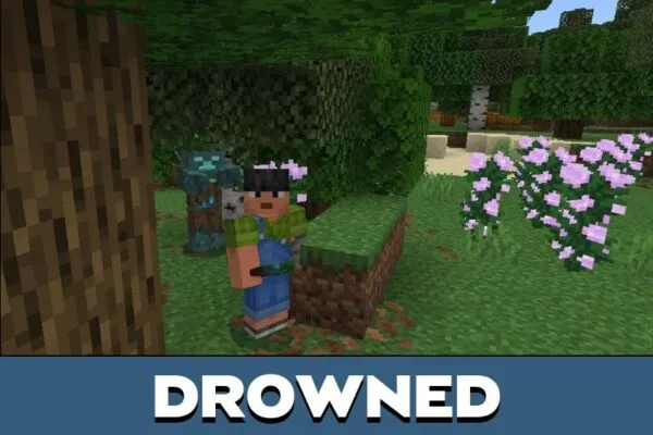 Drowned from Difficulty Insane Mod for Minecraft PE