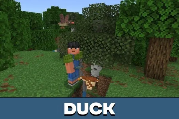 Duck form Aurorian Craft Mod for Minecraft PE