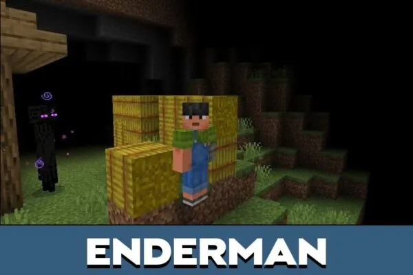 Enderman from Difficulty Insane Mod for Minecraft PE