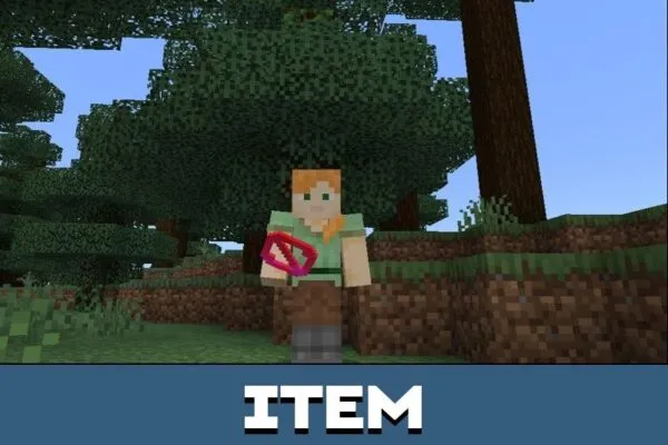 Item from World Border Mod for Minecraft PE