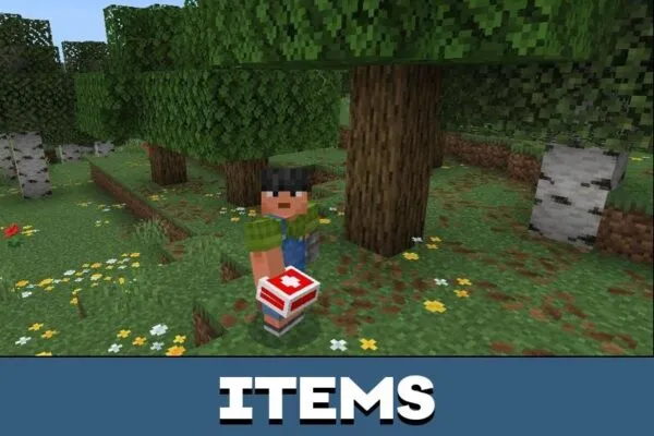 Items from Revive Me Mod for Minecraft PE