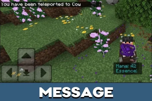 Message from End Magic Mod for Minecraft PE