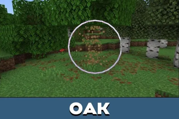 Oak from Falling Tree Mod for Minecraft PE