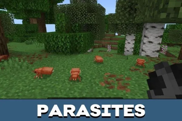 Parasites from Blood Rot Mod for Minecraft PE