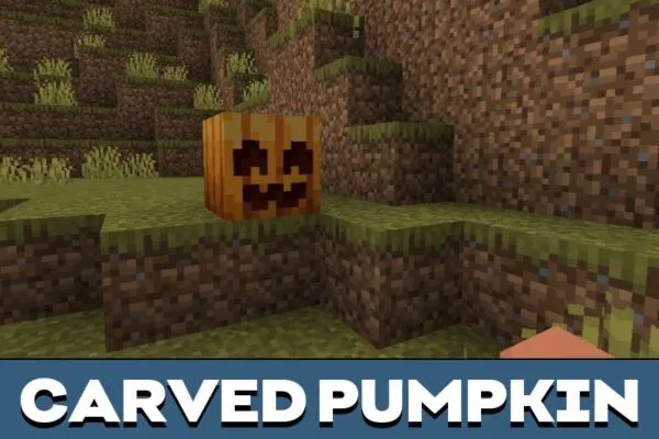 Pumpkin from Action and Stuff Texture Pack for Minecraft PE