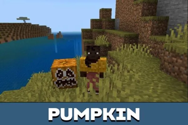 Pumpkin from Fragiles Texture Pack for Minecraft PE