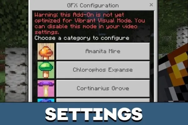 Settings from Beyond The End Mod for Minecraft PE