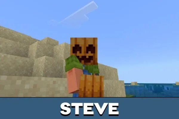 Steve from Action and Stuff Texture Pack for Minecraft PE