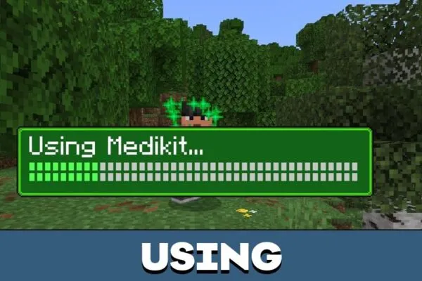 Using from Revive Me Mod for Minecraft PE