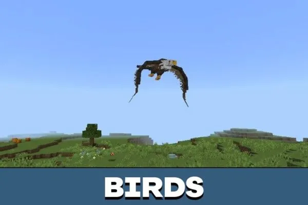 Birds from Tent Mod for Minecraft PE