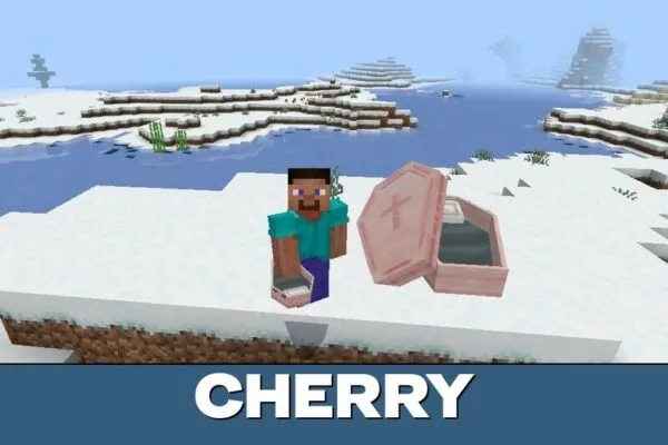 Cherry from Sleeping Coffins Mod for Minecraft PE