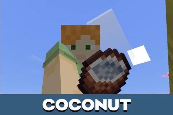 Coconut from Lucky Foods Mod for Minecraft PE