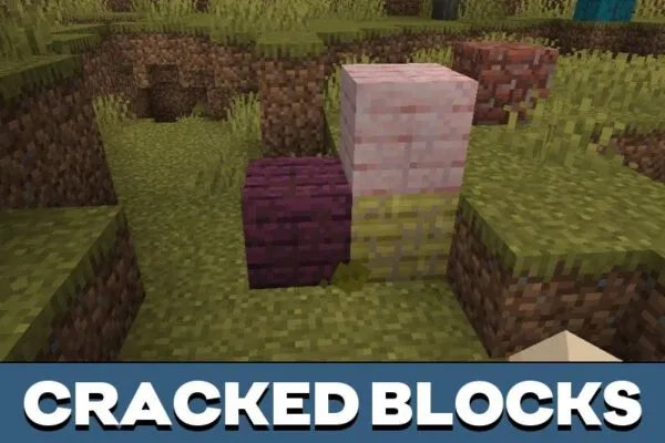 Cracked Blocks from Lost Blocks Mod for Minecraft PE