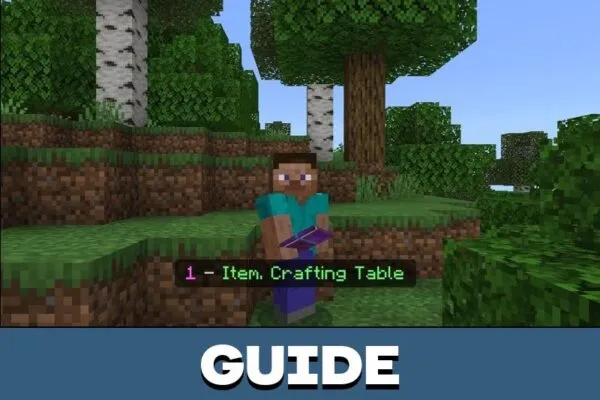 Guide from Force Items Mod for Minecraft PE