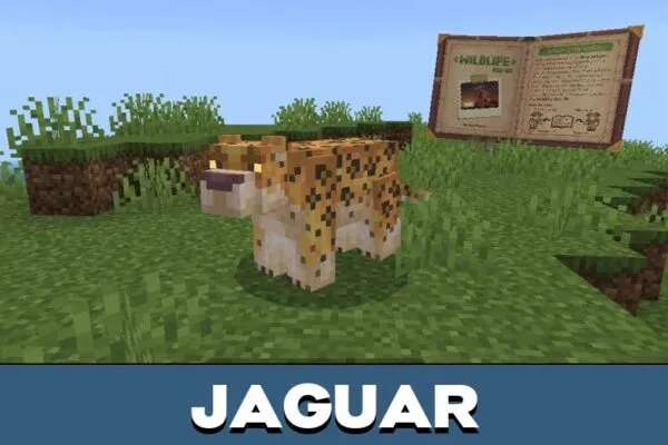 Jaguar from Wild Life Mod for Minecraft PE