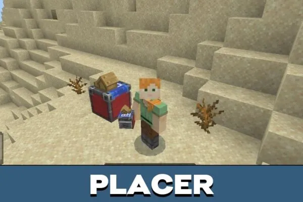 Placer from Furniture Builder Mod for Minecraft PE