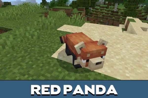 Red Panda from Wild Life Mod for Minecraft PE
