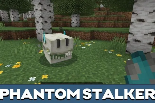 Phantom Stalker from 10 Mods Build for Minecraft PE