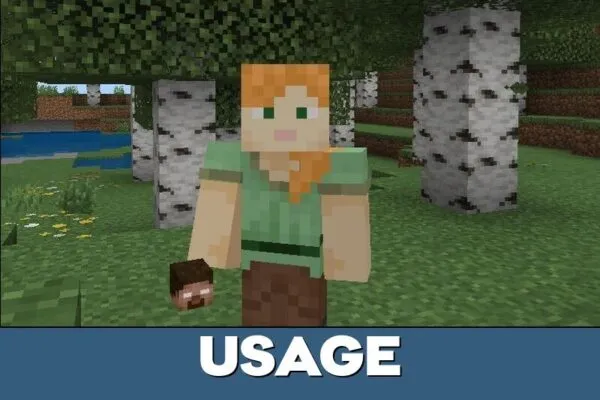 Usage from Head Stealing Mod for Minecraft PE