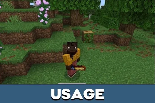 Usage from World Builder Mod for Minecraft PE