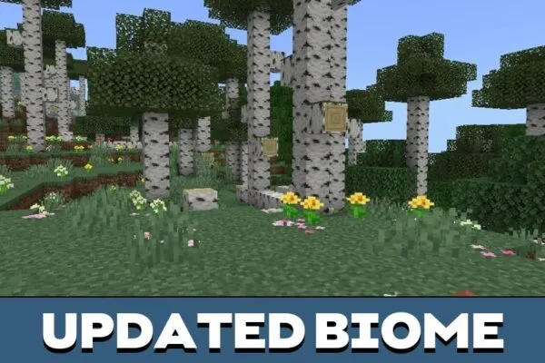 Biome from Birch Forest Mod for Minecraft PE