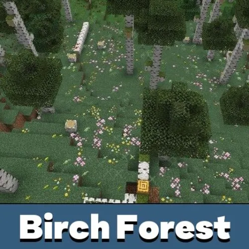 Birch Forest Mod for Minecraft PE