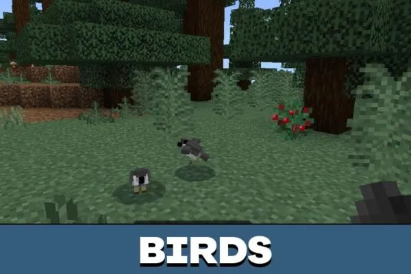 Birds from The Call of the Forest Mod for Minecraft PE