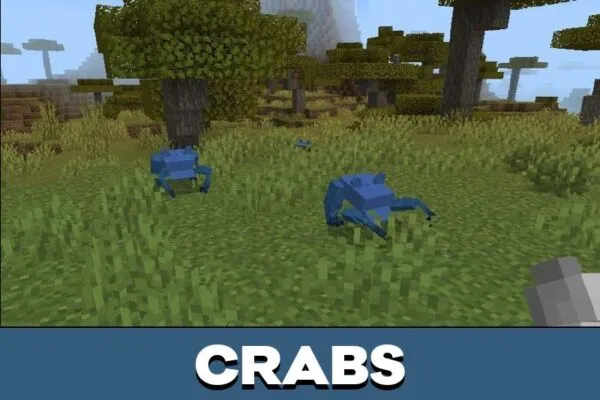 Crabs from Cappie Dweller Mod for Minecraft PE