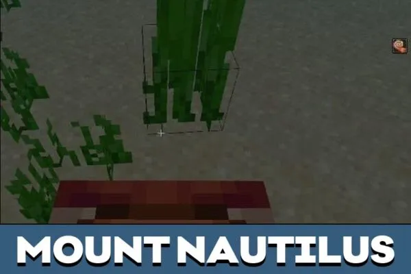 Mount from Minecraft PE 1.21