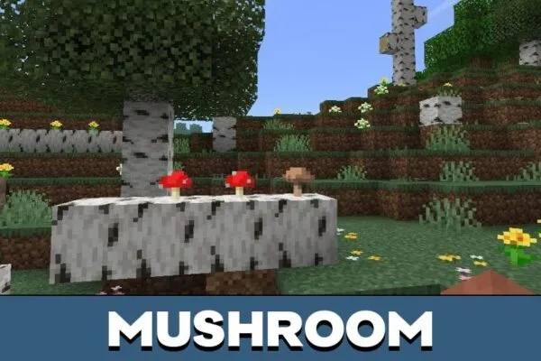Mushrooms from Birch Forest Mod for Minecraft PE