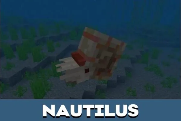 Nautilus from Minecraft PE 1.21