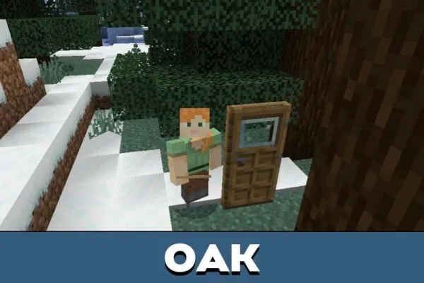 Oak Glass Doors Texture Pack for Minecraft PE