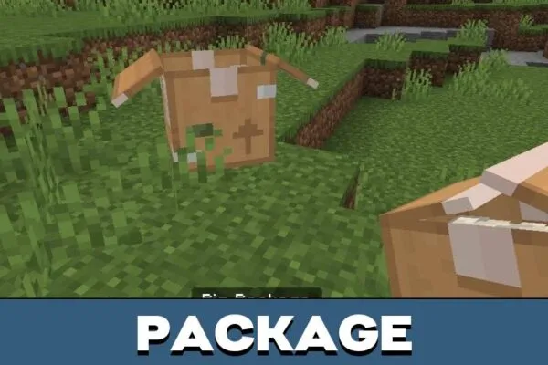 Package from Shipping Services Mod for Minecraft PE
