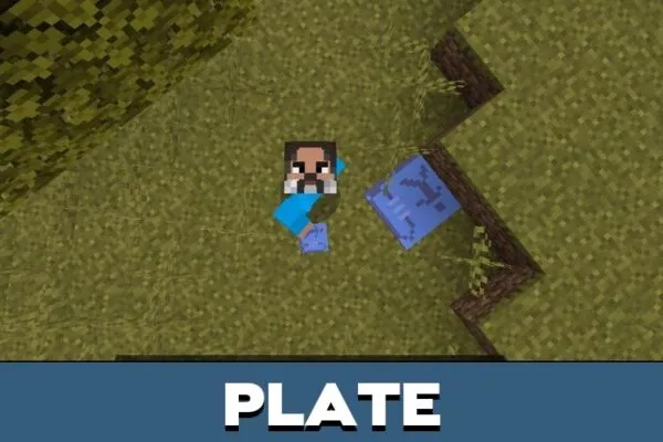 Plate from Stellar Forge Mod for Minecraft PE