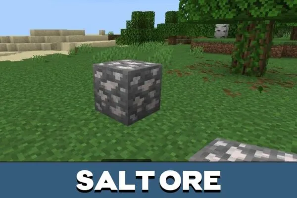 Salt Ore from Crunch Mod for Minecraft PE