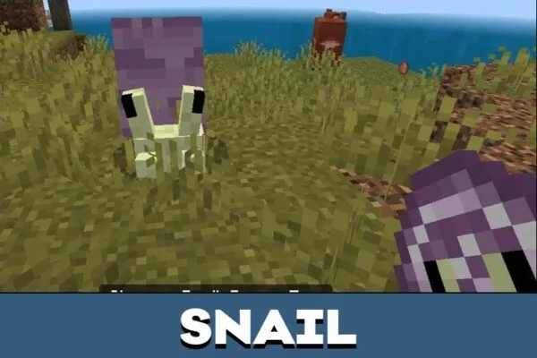 Snail from BestGamers Mod for Minecraft PE