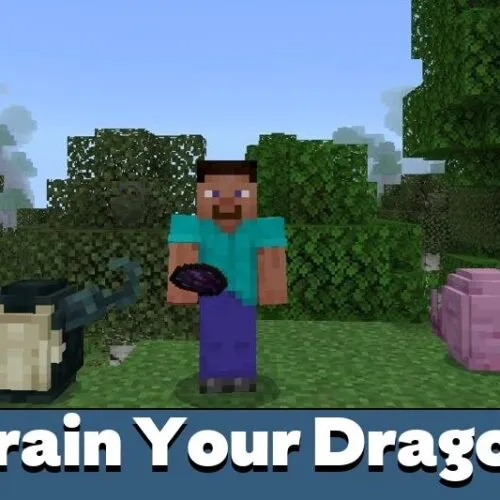Train Your Dragon Mod for Minecraft PE