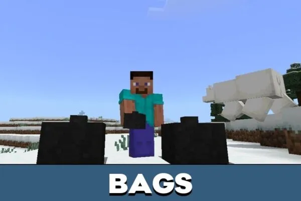 Bags from Dexter Mod for Minecraft PE