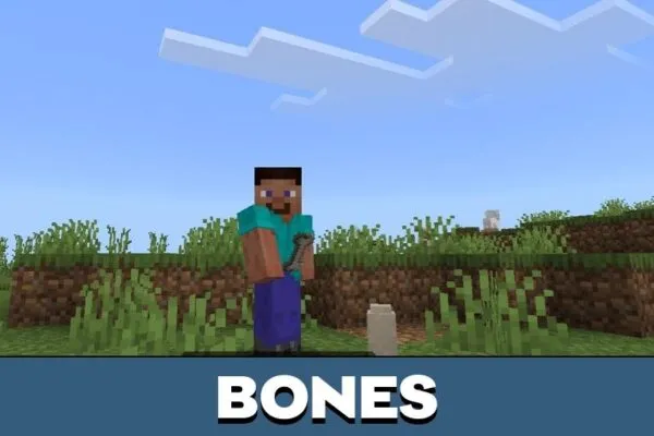 Bones form Fossil Record Mod for Minecraft PE