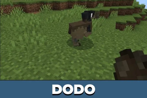 Dodo form Fossil Record Mod for Minecraft PE