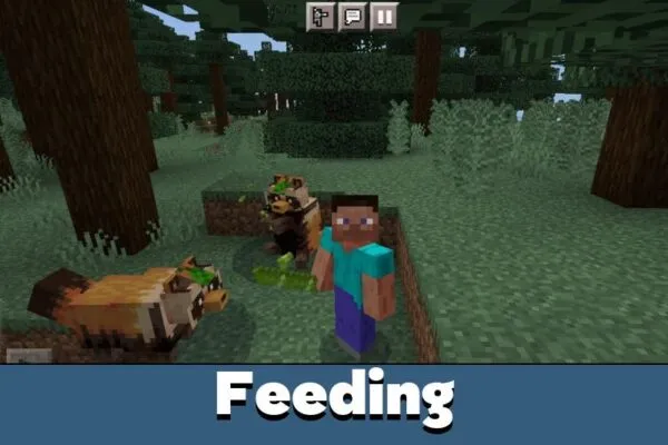Feeding from Tanukis Texture Pack for Minecraft PE