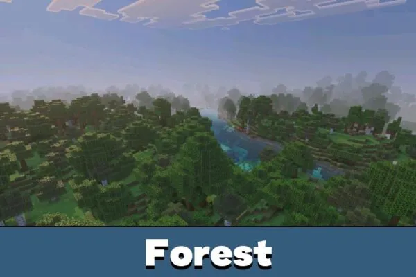 Forest from Mod Sodium cho Minecraft PE